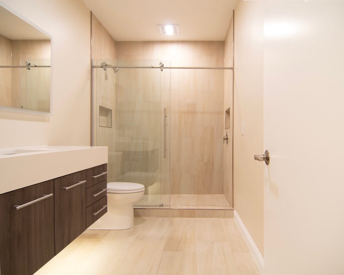 Andres - Basement - Bathroom Overview